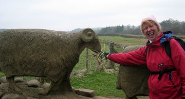 Sandy and sheep