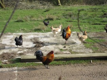 kirkwhelpington