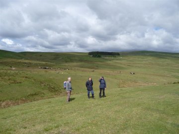 Harden Hill