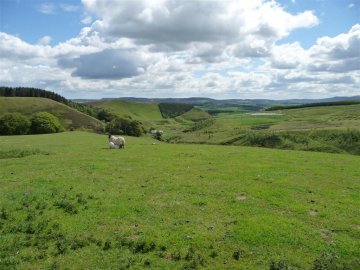 hazeltonrig