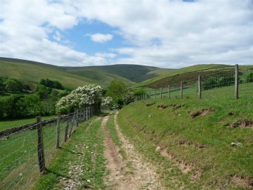 Loadpot hill