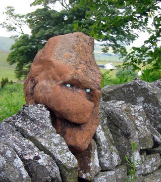 head