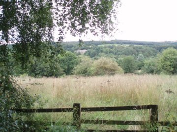 field