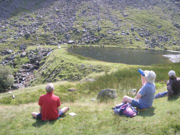 Tarn
