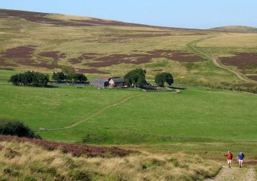Common Burn House