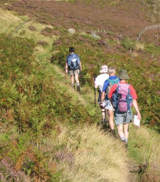 Through Heather