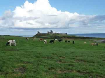 dunstanburgh castle