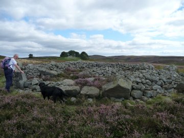 Burial mound