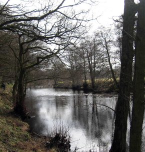 River Nidd
