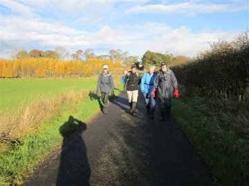 walking