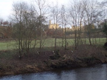 castle 1
