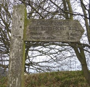 waymarker
