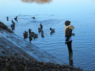 paddling