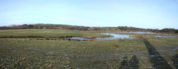 lake panorama