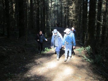 woodlands