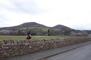 eildon hills