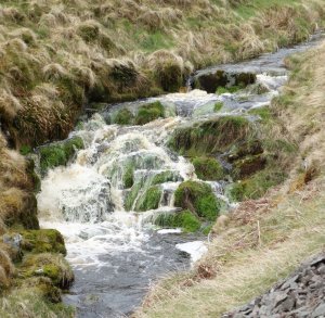 stream