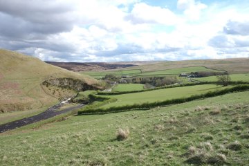 coquet