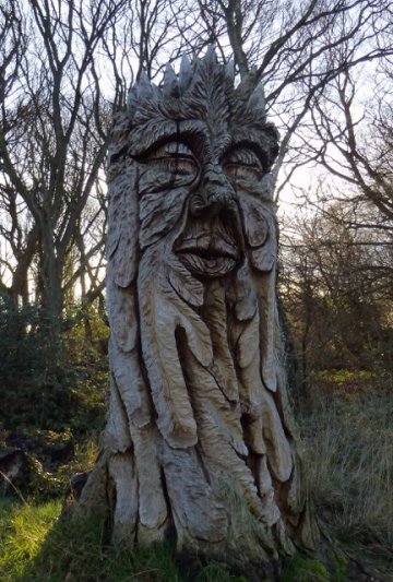 tree man