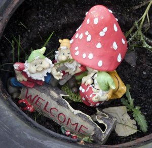 gnomes