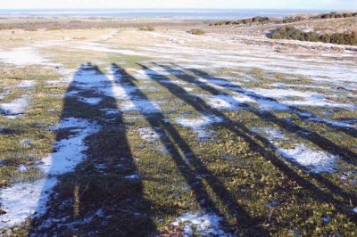 shadows