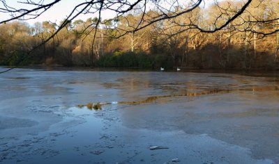 lake