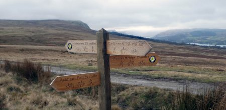 signpost