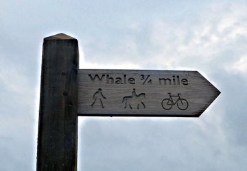 sign