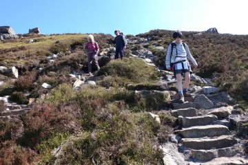 steps