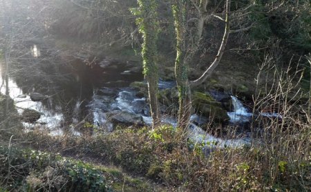 derwent