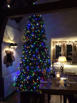 tree
