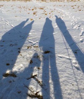 snow