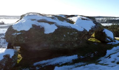 punchbowl
