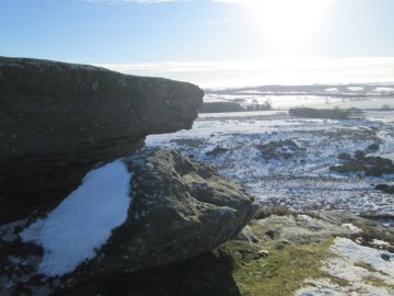 view