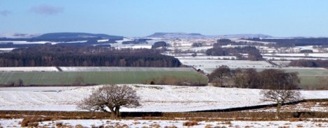 simonside