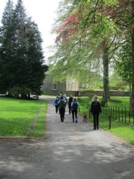 avenue