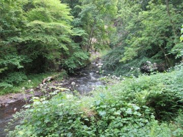 river