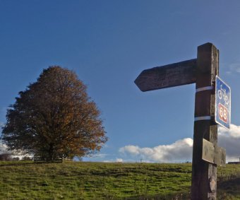 signpost