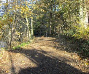 path