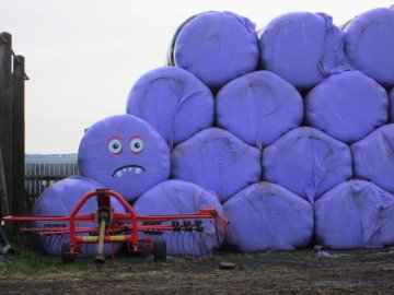 bales