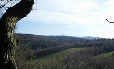 gibside