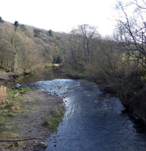 derwent