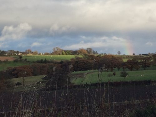rainbow