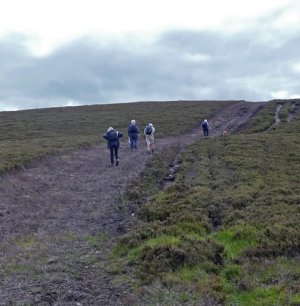 whitehill