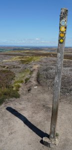 signpost