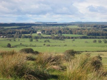 wallington