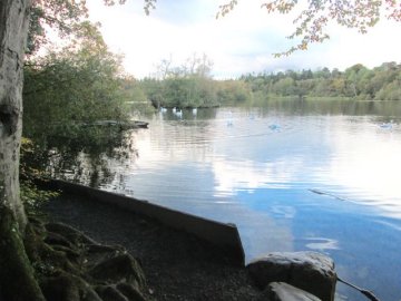 lake