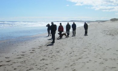 beach