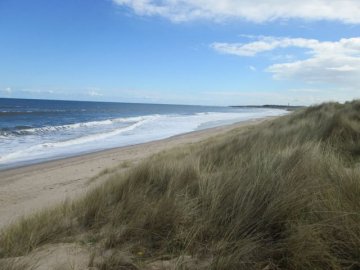 dunes