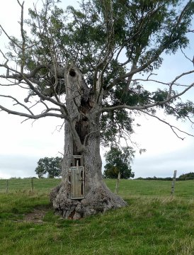 treehouse